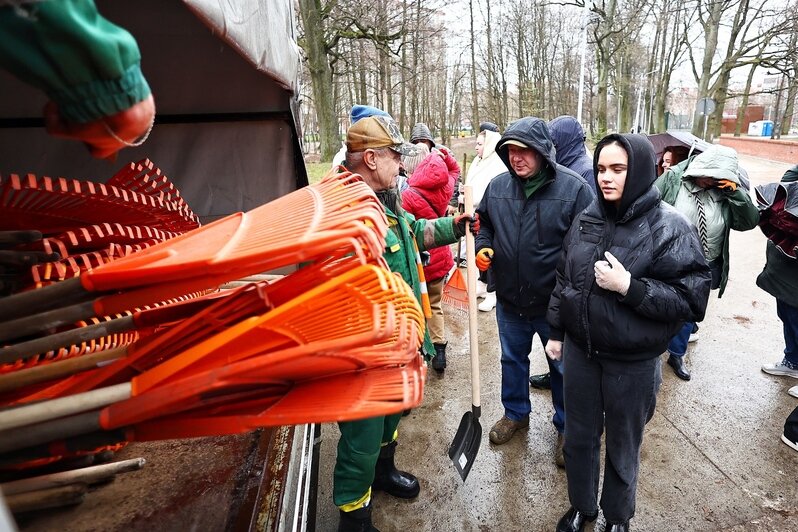 В областном центре  добровольцы навели порядок на 16 городских объектах | Фото: Александр Подгорчук 