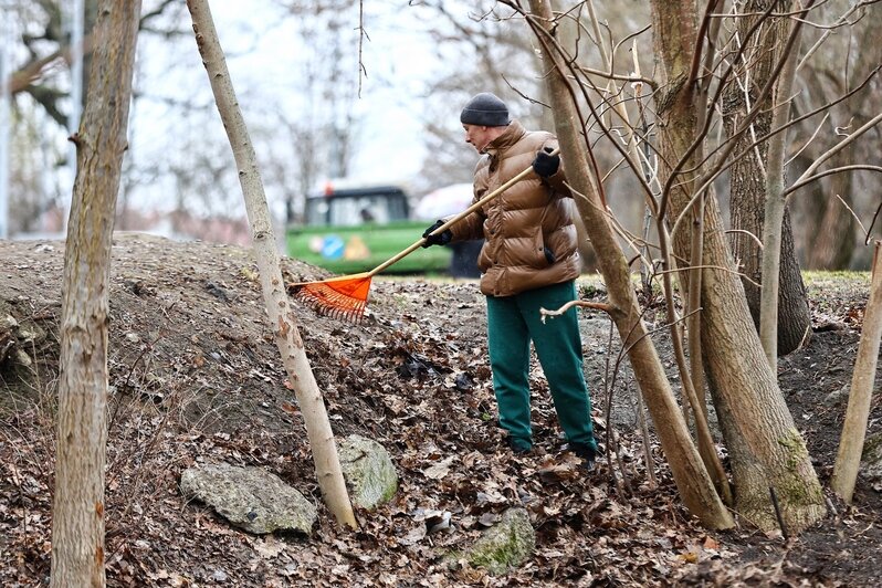 В областном центре  добровольцы навели порядок на 16 городских объектах | Фото: Александр Подгорчук 
