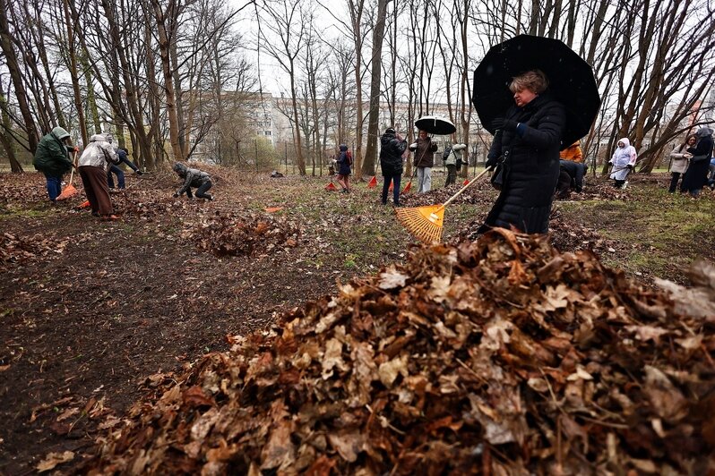 В областном центре  добровольцы навели порядок на 16 городских объектах | Фото: Александр Подгорчук 