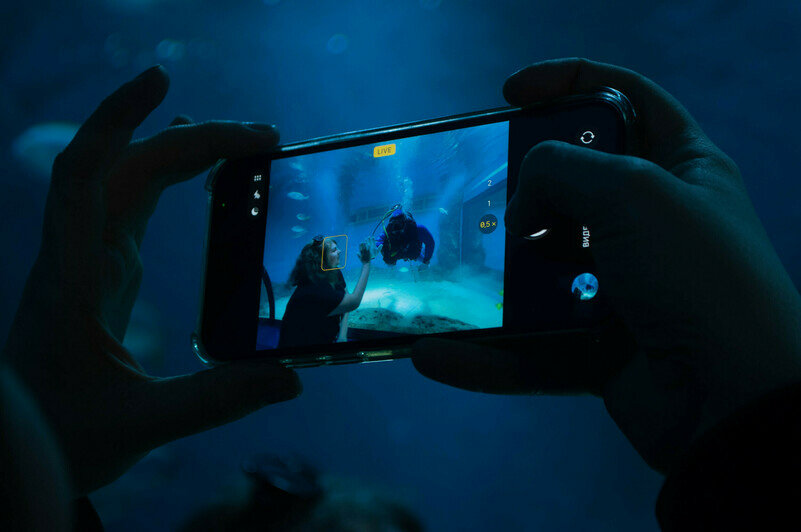 Такой увлекательный подводный мир. | Фото: Ксения Андреева