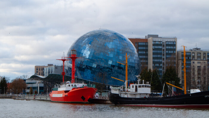 Узнают водолазов и дерутся за территорию: что скрывают аквариумы Музея Мирового океана | Фото: Ксения Андреева