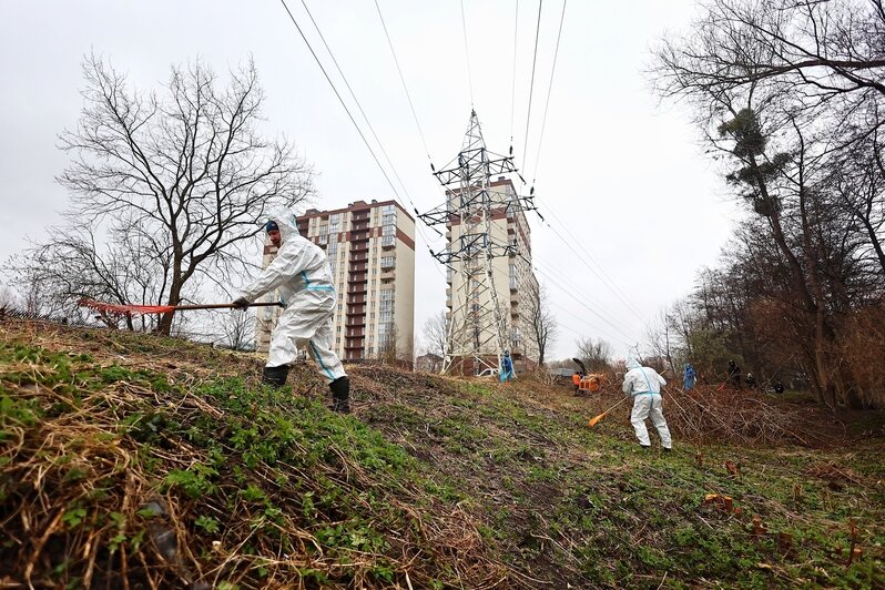 На ручье Воздушном глава региона дал старт Всероссийской акции по очистке берегов водных объектов «Вода России» | Фото: Александр Подгорчук 