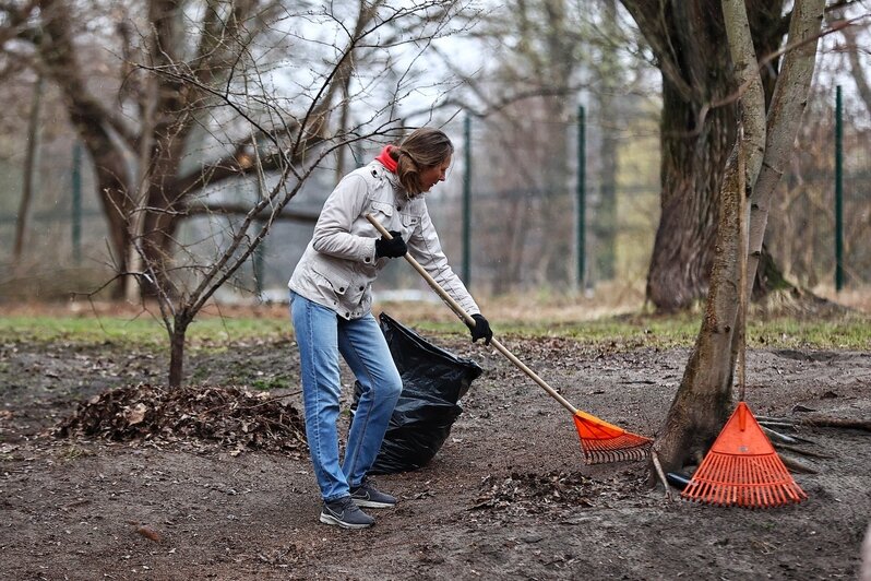 В областном центре  добровольцы навели порядок на 16 городских объектах | Фото: Александр Подгорчук 