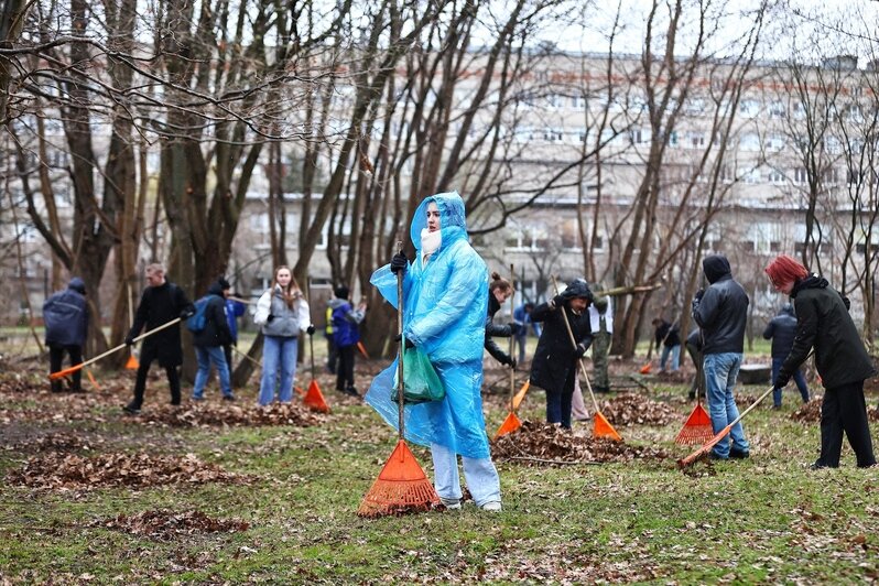 В областном центре  добровольцы навели порядок на 16 городских объектах | Фото: Александр Подгорчук 