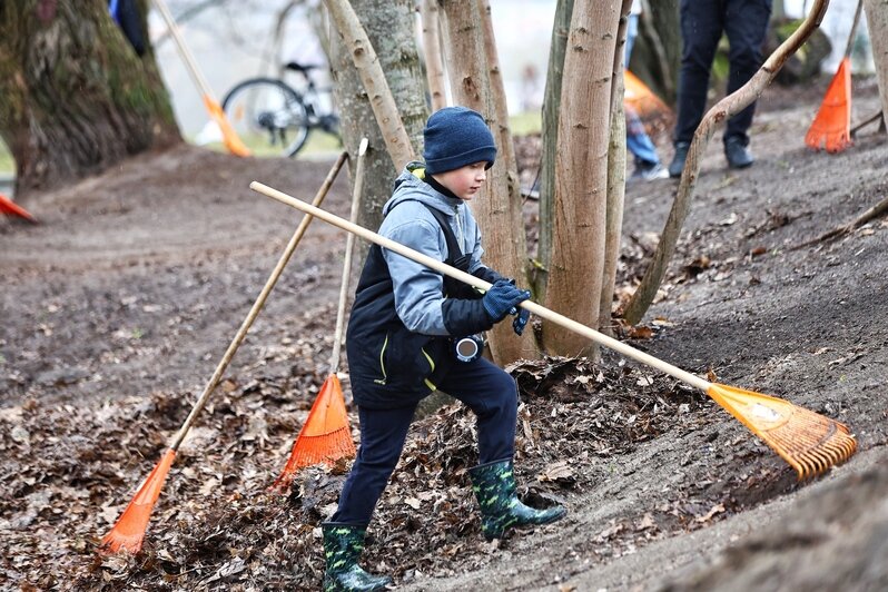 В областном центре  добровольцы навели порядок на 16 городских объектах | Фото: Александр Подгорчук 