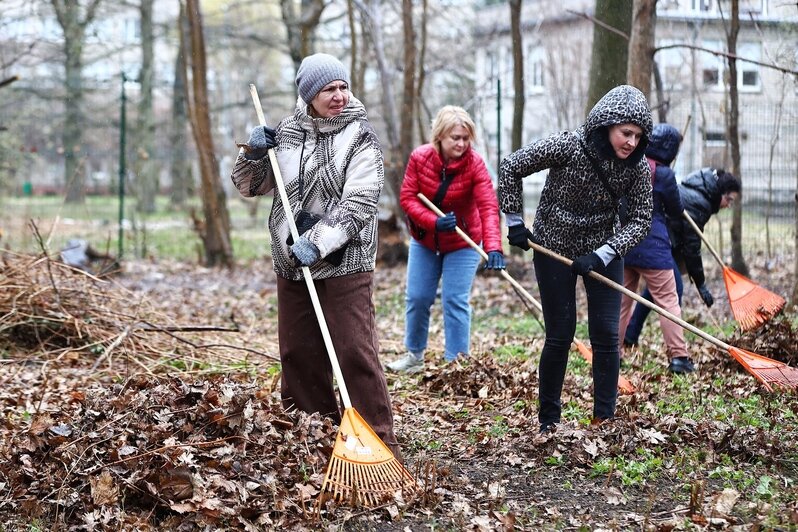 В областном центре  добровольцы навели порядок на 16 городских объектах | Фото: Александр Подгорчук 