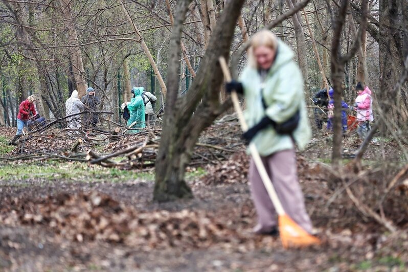 В областном центре  добровольцы навели порядок на 16 городских объектах | Фото: Александр Подгорчук 