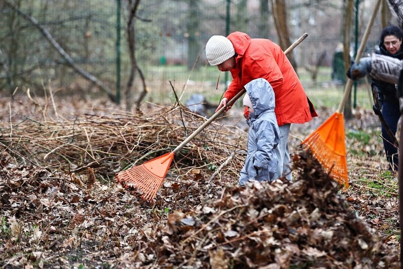 В областном центре  добровольцы навели порядок на 16 городских объектах | Фото: Александр Подгорчук 