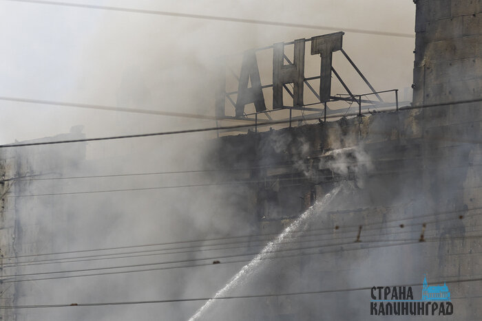 Пожар в ТЦ «Гиант» в Калининграде — фоторепортаж с места ЧП