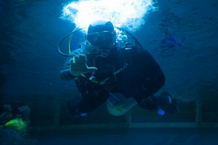 Узнают водолазов и дерутся за территорию: что скрывают аквариумы Музея Мирового океана
