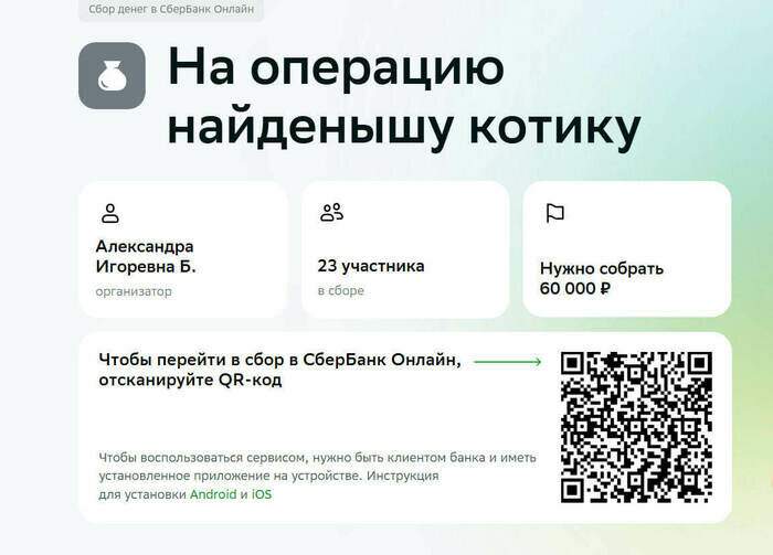 Лежал в луже со сломанными лапами: калининградцы влезли в долги ради спасения кота, от которого избавились хозяева    - Новости Калининграда