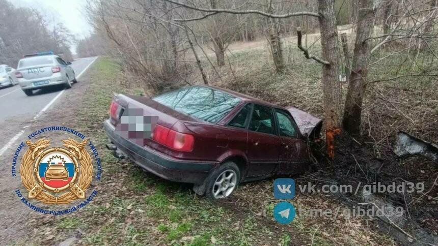 В Славском районе Audi съехал с дороги и вонзился в дерево - Новости Калининграда | Фото: Госавтоинспекция Калининградской области