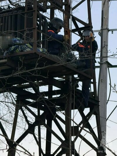 Место происшествия  | Фото: ГУ МЧС по Калининградской области