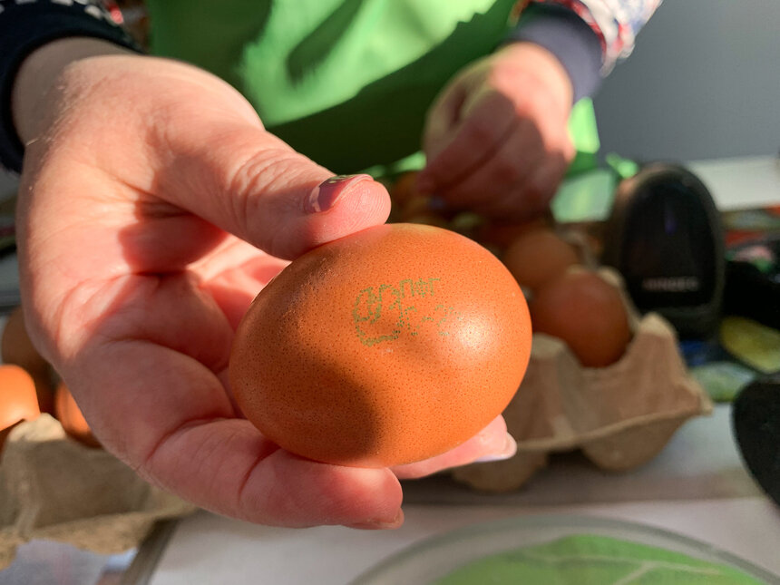 Власти пообещали контролировать вопрос цен на яйца перед Пасхой. | Александр Мелехов