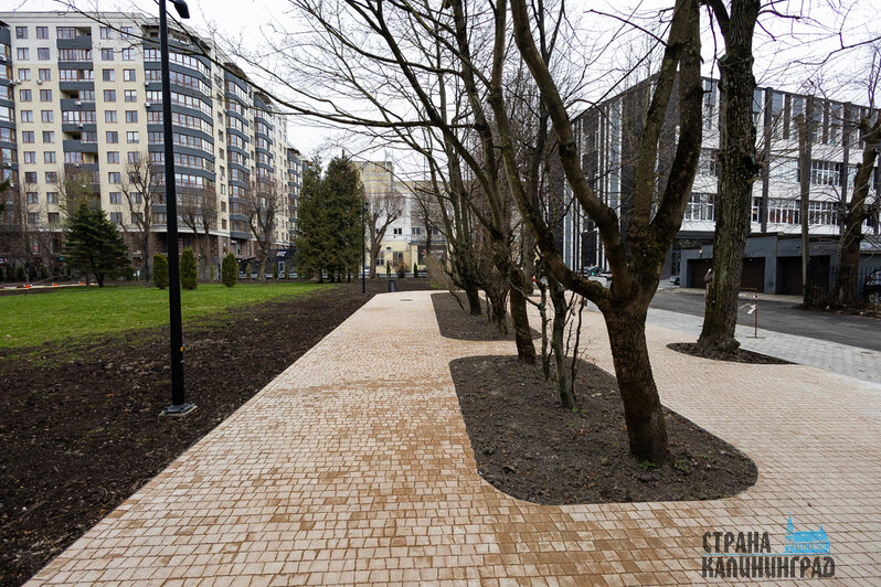 Сквер на ул.Комсомольской | Фото: Александр Подгорчук 