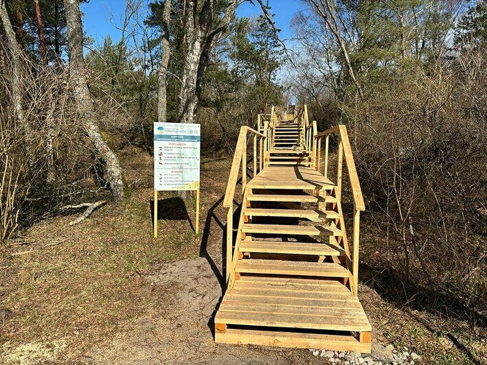 На Куршской косе доделали новый переход, который должен защитить авандюну от разрушения (фото, видео) - Новости Калининграда | Фото: канал национального парка «Куршская коса» / Телеграм