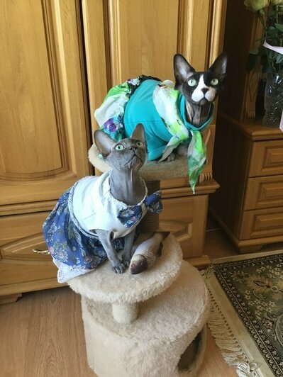 Полвека в обнимку: пара из Калининграда повторила фото у Кафедрального собора через 54 года   - Новости Калининграда | Фото: архив семьи Бурыкиных