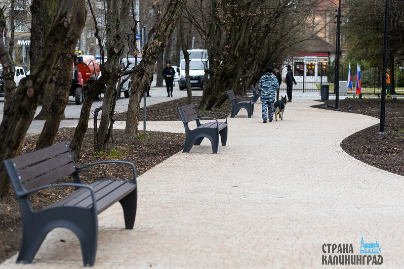Сквер на ул.Комсомольской | Фото: Александр Подгорчук 
