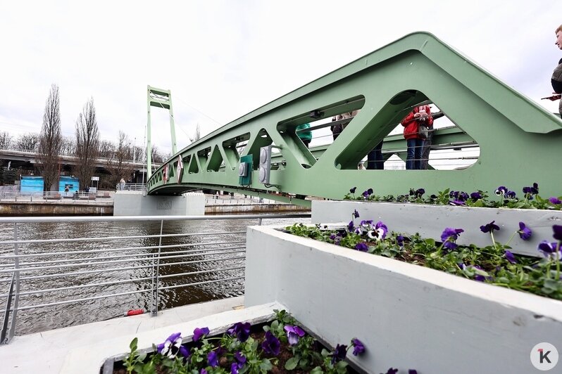 В Калининграде открыли долгожданный пешеходный мост от «Юности» на остров Канта (фоторепортаж) - Новости Калининграда | Фото: Александр Подгорчук / «Клопс»