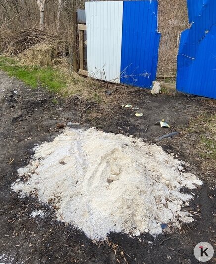 К среде рассыпанная соль продолжает оставаться на прежнем месте | Фото: Александр П.