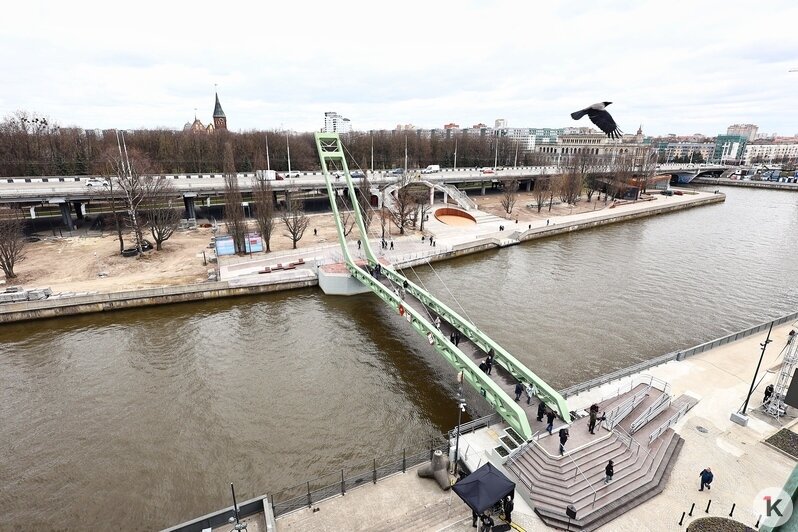 В Калининграде открыли долгожданный пешеходный мост от «Юности» на остров Канта (фоторепортаж) - Новости Калининграда | Фото: Александр Подгорчук / «Клопс»