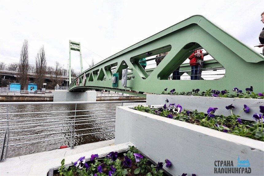 Мост через Преголю торжественно открыли 9 апреля | Фото: Александр Подгорчук