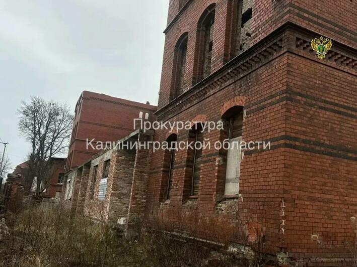 После падения школьника в заброшенной казарме Черняховска прокуратура начала проверку - Новости Калининграда | Фото: канал прокуратуры Калининградской области / Телеграм
