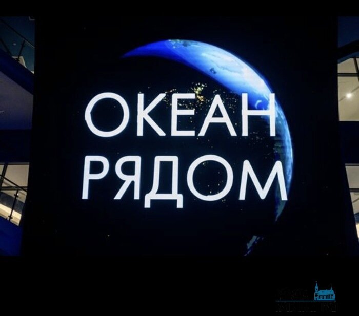 Музей Мирового океана празднует День рождения  | Фото: Александр Мелехов