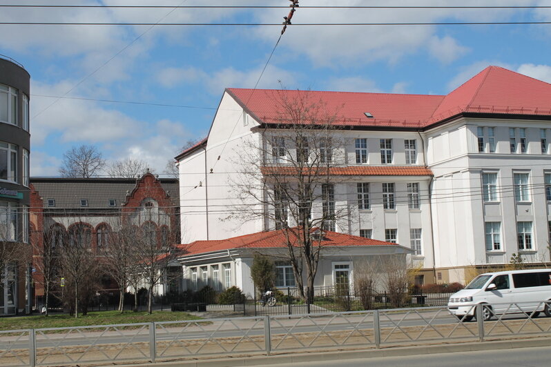 Улица с одним домом и книжный клуб в пивном баре: история Калининграда разбудила детские воспоминания у экскурсантов   - Новости Калининграда | Фото: Алёна Михайлова