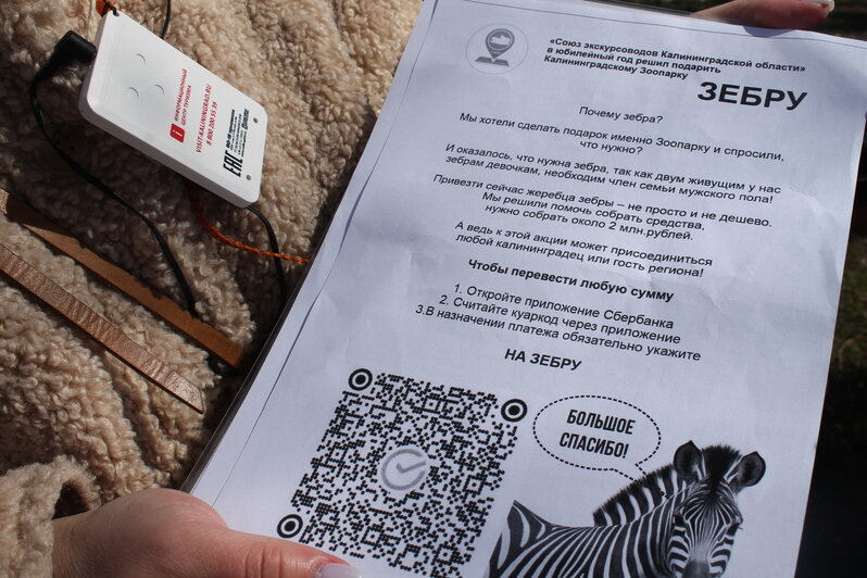 Улица с одним домом и книжный клуб в пивном баре: история Калининграда разбудила детские воспоминания у экскурсантов   - Новости Калининграда | Фото: Алёна Михайлова