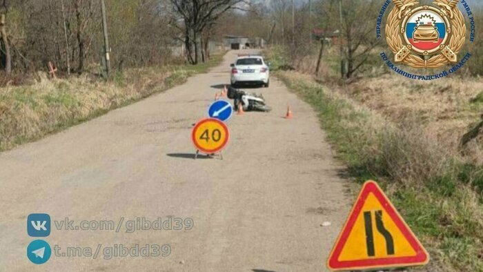 Гибель семьи в горящей калининградской высотке и рухнувший с неба лебедь: 8 событий минувших выходных   - Новости Калининграда | Фото: канал Госавтоинспекции Калининградской области / Телеграм