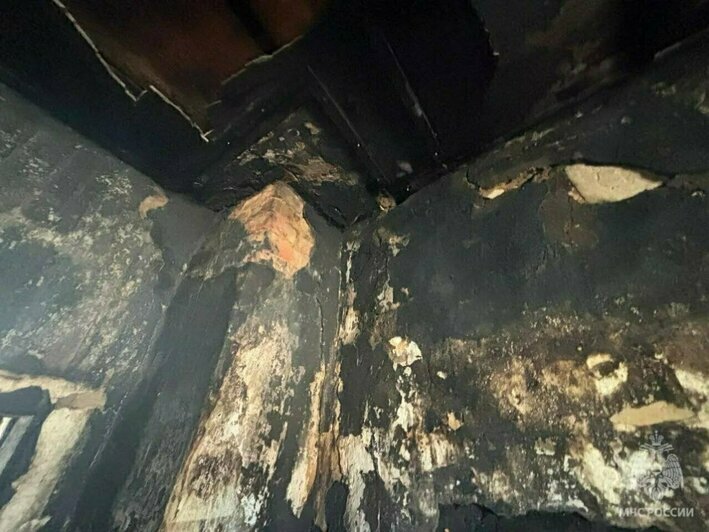 Гибель семьи в горящей калининградской высотке и рухнувший с неба лебедь: 8 событий минувших выходных   - Новости Калининграда | Фото: МЧС региона