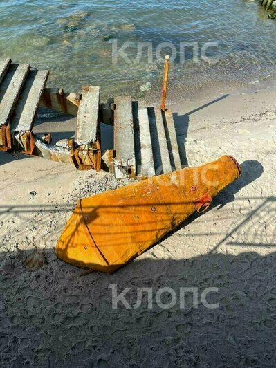 Гибель семьи в горящей калининградской высотке и рухнувший с неба лебедь: 8 событий минувших выходных   - Новости Калининграда | Фото: очевидцы