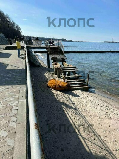 Гибель семьи в горящей калининградской высотке и рухнувший с неба лебедь: 8 событий минувших выходных   - Новости Калининграда | Фото: очевидцы