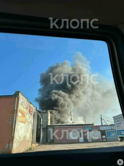 Гибель семьи в горящей калининградской высотке и рухнувший с неба лебедь: 8 событий минувших выходных   - Новости Калининграда | Фото: очевидец