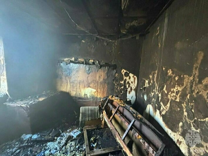 Гибель семьи в горящей калининградской высотке и рухнувший с неба лебедь: 8 событий минувших выходных   - Новости Калининграда | Фото: МЧС региона