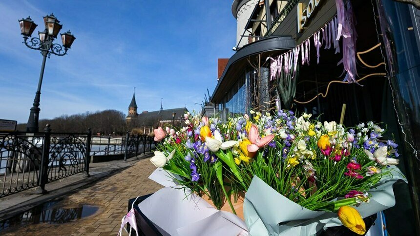 Ясно, сухо, но ветрено: какой будет погода в Калининграде и области 13 апреля - Новости Калининграда | Фото: Александр Подгорчук / Архив «Клопс»