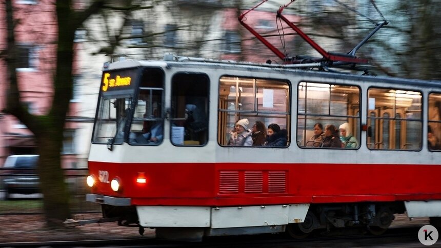 Калининграду нужна транспортная модель для развития трамвая — эксперт   - Новости Калининграда | Фото: Александр Подгорчук / Архив «Клопс»