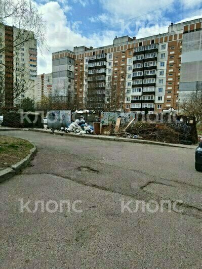 Легендарная мусорка на Минской осталась без внимания: 4 улицы в Калининграде с «дизайном» из переполненных баков   - Новости Калининграда | Фото: очевидец