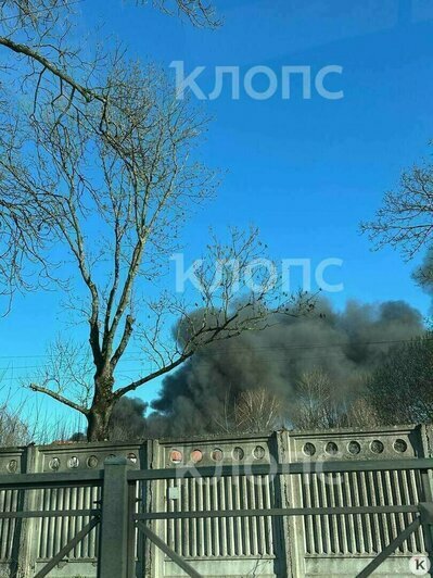 Гибель семьи в горящей калининградской высотке и рухнувший с неба лебедь: 8 событий минувших выходных   - Новости Калининграда | Фото: очевидец