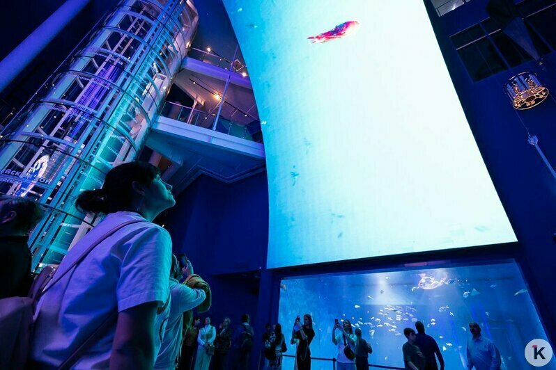 Евгений Гришковец побывал на открытии доски легендарным кораблям на набережной Музея Мирового океана в Калининграде (фото) - Новости Калининграда | Фото: Александр Подгорчук / «Клопс»