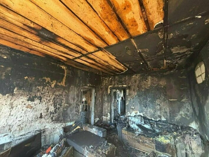 Гибель семьи в горящей калининградской высотке и рухнувший с неба лебедь: 8 событий минувших выходных   - Новости Калининграда | Фото: МЧС региона