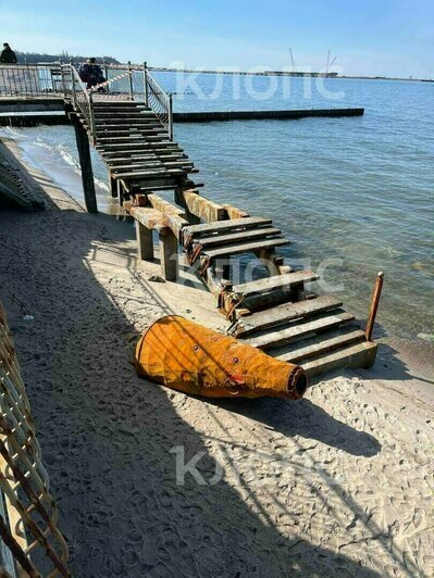 Гибель семьи в горящей калининградской высотке и рухнувший с неба лебедь: 8 событий минувших выходных   - Новости Калининграда | Фото: очевидцы