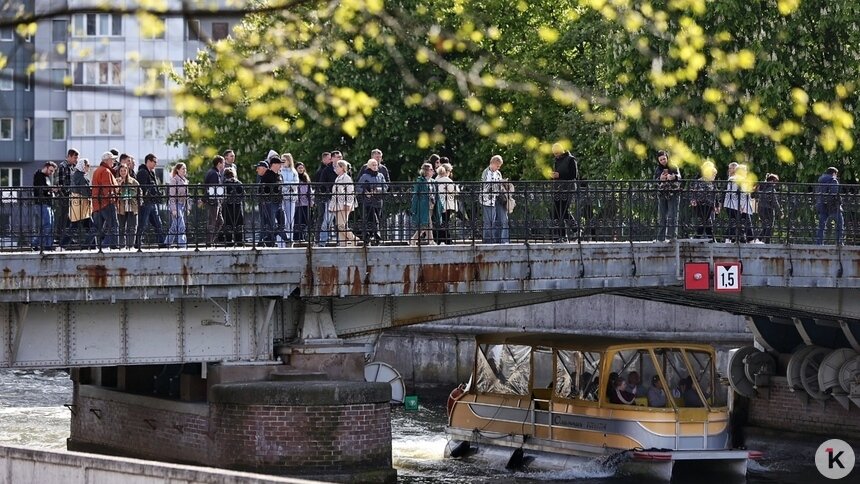 Синоптики рассказали о погоде в Калининграде и области во вторник, 14 апреля  - Новости Калининграда | Фото: Александр Подгорчук / Архив «Клопс»