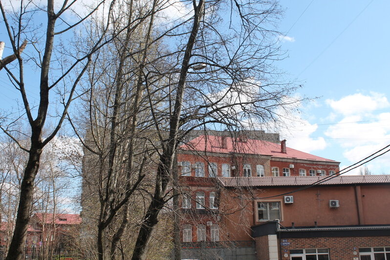 Улица с одним домом и книжный клуб в пивном баре: история Калининграда разбудила детские воспоминания у экскурсантов   - Новости Калининграда | Фото: Алёна Михайлова