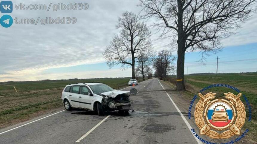 В Нестеровском районе легковушка влетела в дерево, водитель в больнице - Новости Калининграда | Фото: ГАИ региона