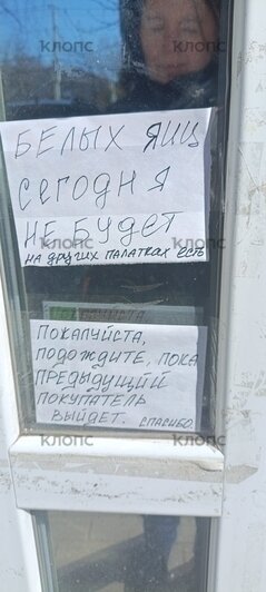 «Что, совсем нет белых?»: калининградцы перед Пасхой раскупили самые подходящие для покраски яйца - Новости Калининграда | Фото: «Клопс»
