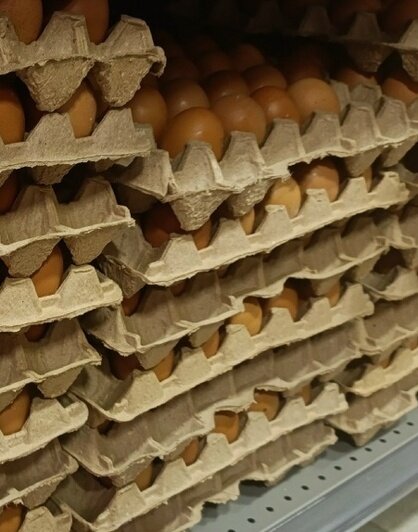 «Что, совсем нет белых?»: калининградцы перед Пасхой раскупили самые подходящие для покраски яйца - Новости Калининграда