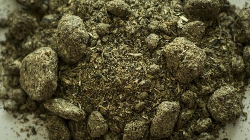 Калининградские аграрии отправили 23 тыс. тонн лакомств для марокканских коров - Новости Калининграда | Фото: пресс-служба Россельхознадзора по Калининградской области