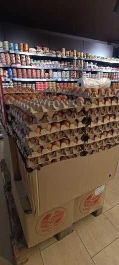 «Что, совсем нет белых?»: калининградцы перед Пасхой раскупили самые подходящие для покраски яйца - Новости Калининграда